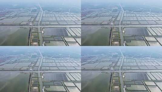 航拍河水灌溉肥沃的水稻田高清在线视频素材下载