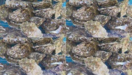 海蛎子生蚝牡蛎高清在线视频素材下载