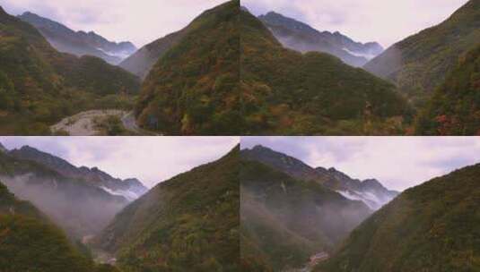 西安秦岭秋天下雨森林山丘云海高清在线视频素材下载