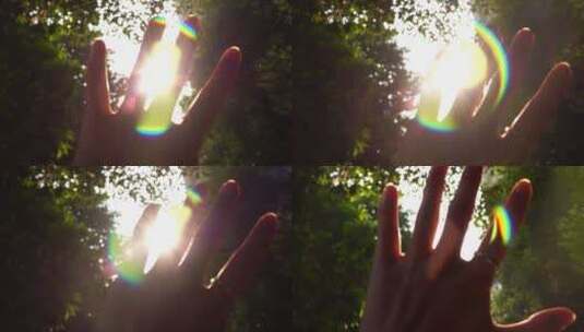 4K指缝阳光，意境夕阳唯美阳光，手摸阳光高清在线视频素材下载