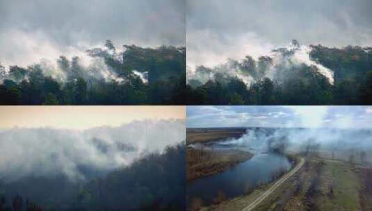 山火、森林火灾、火灾高清在线视频素材下载