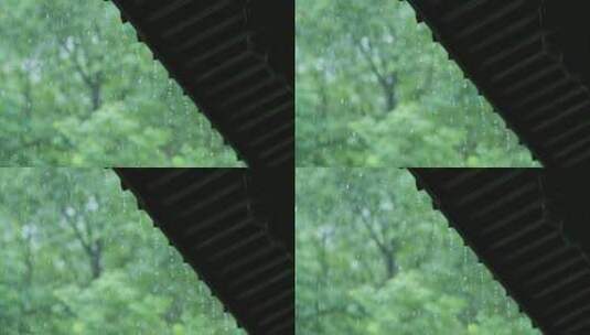 江南雨季中式园林建筑绿植雨滴空镜高清在线视频素材下载