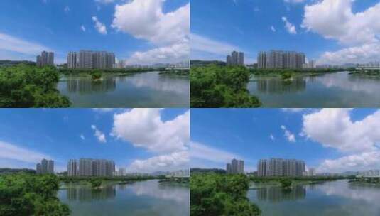三亚东岸湿地公园-2高清在线视频素材下载