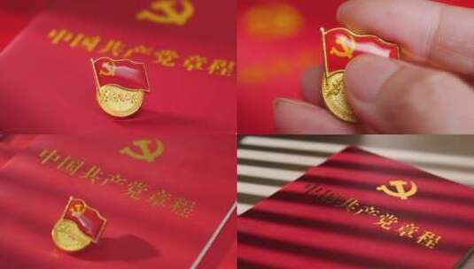 中国共产党党徽，党员戴党徽4k视频素材高清在线视频素材下载
