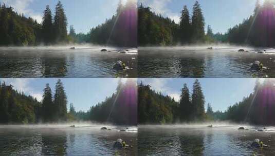 自然风光 河面薄雾森林阳光照射鱼儿游泳高清在线视频素材下载