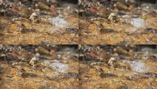 泉水小溪慢镜头升格实拍高清在线视频素材下载