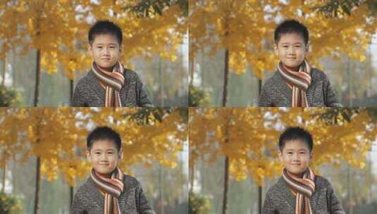 秋天落叶风景中微笑的男孩高清在线视频素材下载