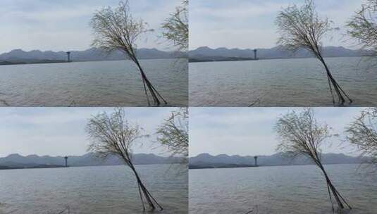 济南莱芜雪野水库，夏季露营野餐烧烤高清在线视频素材下载