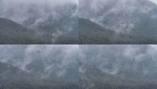 祁连山国家公园自然风光高清在线视频素材下载