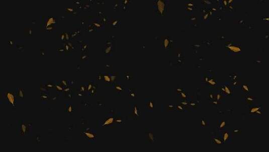 落叶 飘落 树叶 花瓣 透明 循环  无缝循环高清在线视频素材下载