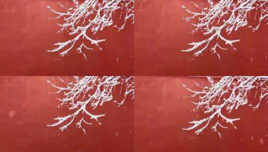 故宫红墙雪压枝头高清在线视频素材下载