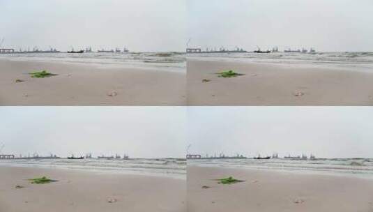 码头沙滩上的绿色海草与海浪4K高清在线视频素材下载
