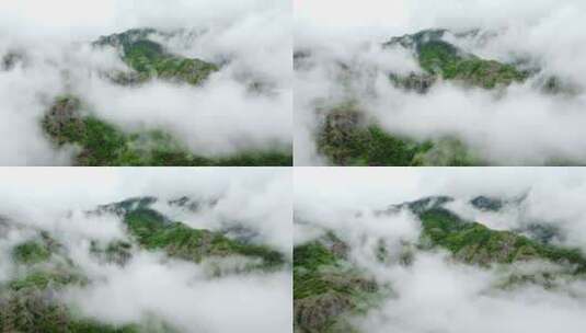 云海 山 雾气 森林 大自然高清在线视频素材下载