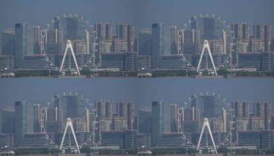 8K深圳欢乐港湾鸬鹚16高清在线视频素材下载