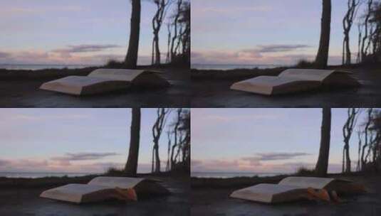 夕阳下的书籍翻页微风落叶高清在线视频素材下载