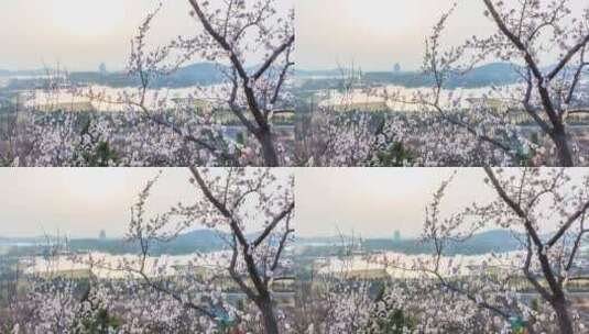 北京雁栖湖春季风光延时视频高清在线视频素材下载