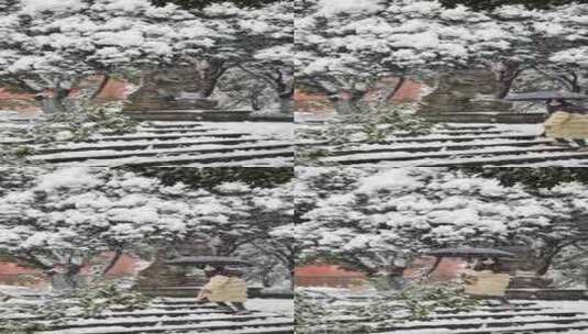 竖屏湖南大学岳麓书院爱晚亭下雪升格视频高清在线视频素材下载