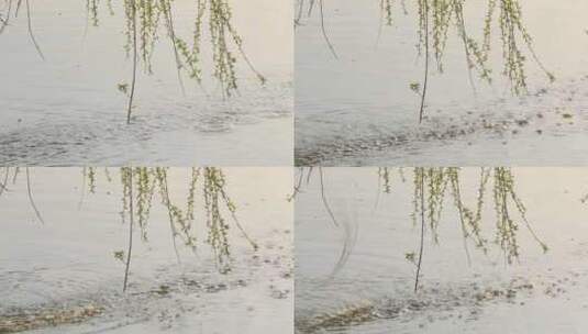 柳条击打在金色湖面上 湖面美丽的水花波纹高清在线视频素材下载