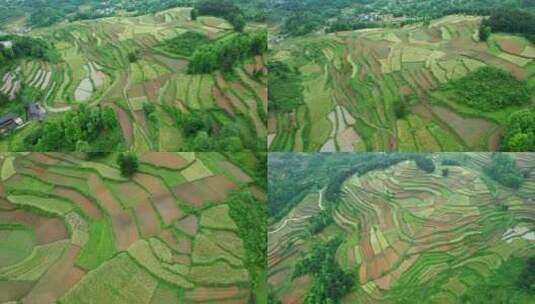 农村农业乡村梯田大地土地耕地梯田高清在线视频素材下载