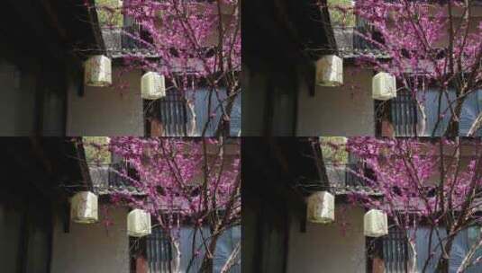 春天古建筑 中国风灯笼装饰特写高清在线视频素材下载