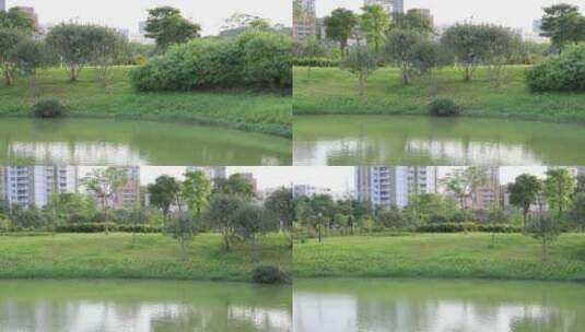 城市绿化、公园绿化、生态城市、公园景观高清在线视频素材下载