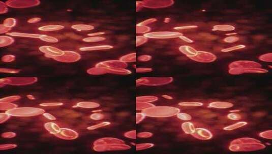 健康人类红细胞抽象概念高清在线视频素材下载