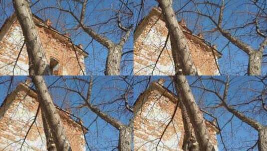 背景为树的砖砌建筑高清在线视频素材下载