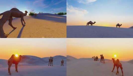 沙漠骆驼在夕阳下的剪影视频高清在线视频素材下载