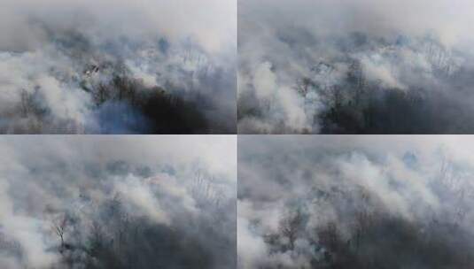 森林大火烟雾笼罩房屋树林航拍画面高清在线视频素材下载