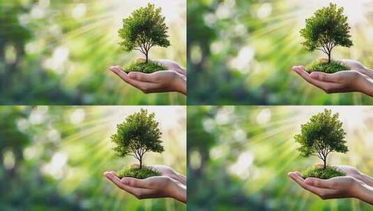 春天植树节种树种子森林生命树苗高清在线视频素材下载