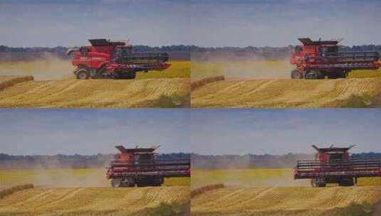 乡村振兴收割机在田里收割小麦高清在线视频素材下载