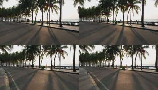 海边公路和椰树高清在线视频素材下载