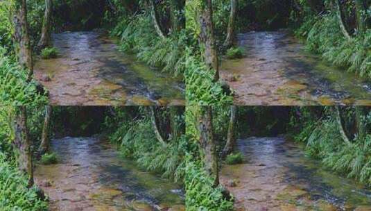 自然绿色小溪流水高清在线视频素材下载