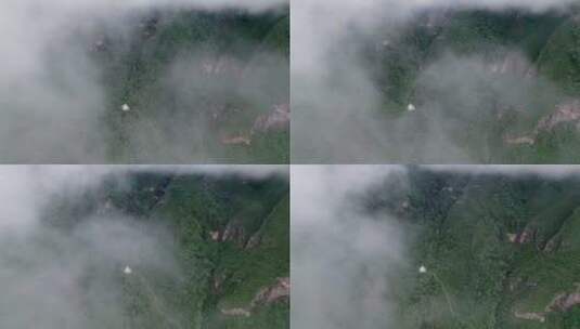 森林云雾航拍高清在线视频素材下载
