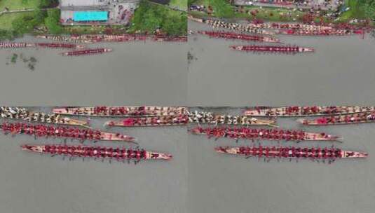 温州端午节赛龙舟航拍高清在线视频素材下载
