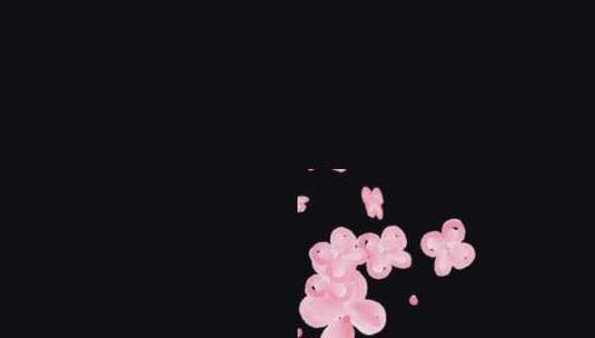 飞舞的花瓣 转场花瓣 粉色花瓣高清在线视频素材下载