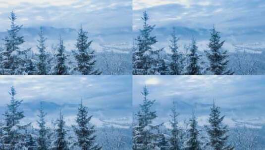 美丽的冬季景观高清在线视频素材下载