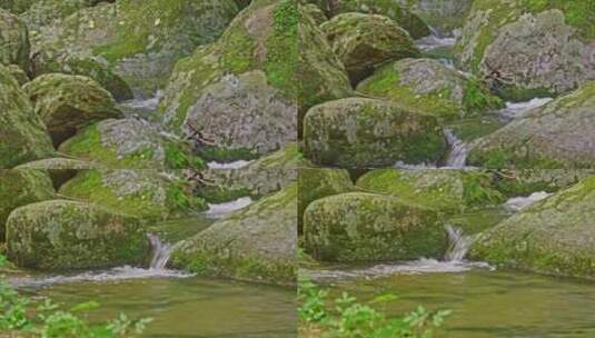 森林山谷中的小溪高清在线视频素材下载