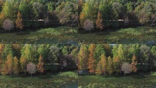 大理丽江洱海双廊秋景秋天景区景点航拍高清在线视频素材下载