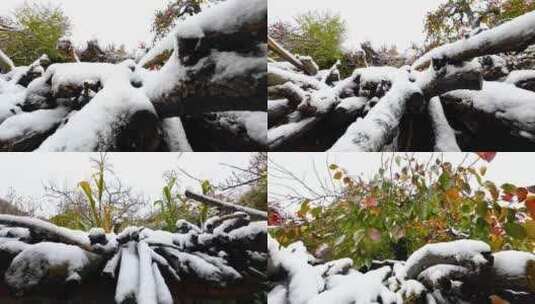 下雪   雪景  慢镜头高清在线视频素材下载