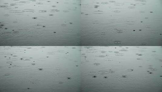 下雨水滴涟漪满镜头慢动作升格高清在线视频素材下载