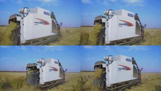 农场水稻收割高清在线视频素材下载