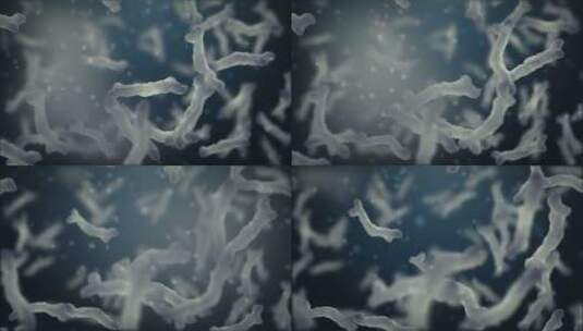 3d渲染细菌、细胞动画视频高清在线视频素材下载