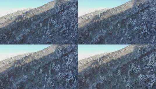 航拍湖北神农架冬季冬天阳光冰雪雪松雪景高清在线视频素材下载