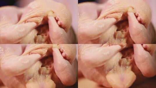 解剖肉鸡身上不能吃的位置高清在线视频素材下载