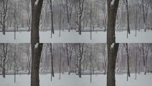 被大雪覆盖的城市公园高清在线视频素材下载