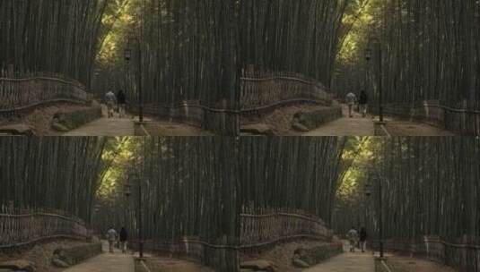 杭州西湖宝石山上的长廊，竹林高清在线视频素材下载