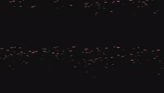 樱花粒子-透明背景高清在线视频素材下载
