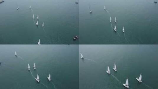 帆船 奥林匹克帆船中心 海上高清在线视频素材下载
