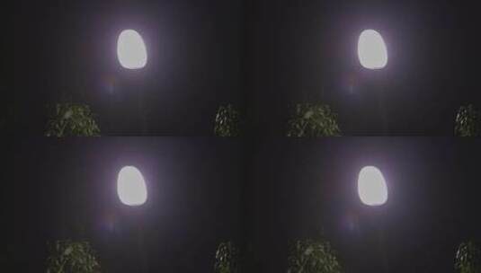 8K实拍意境路灯夜景树叶飘动高清在线视频素材下载